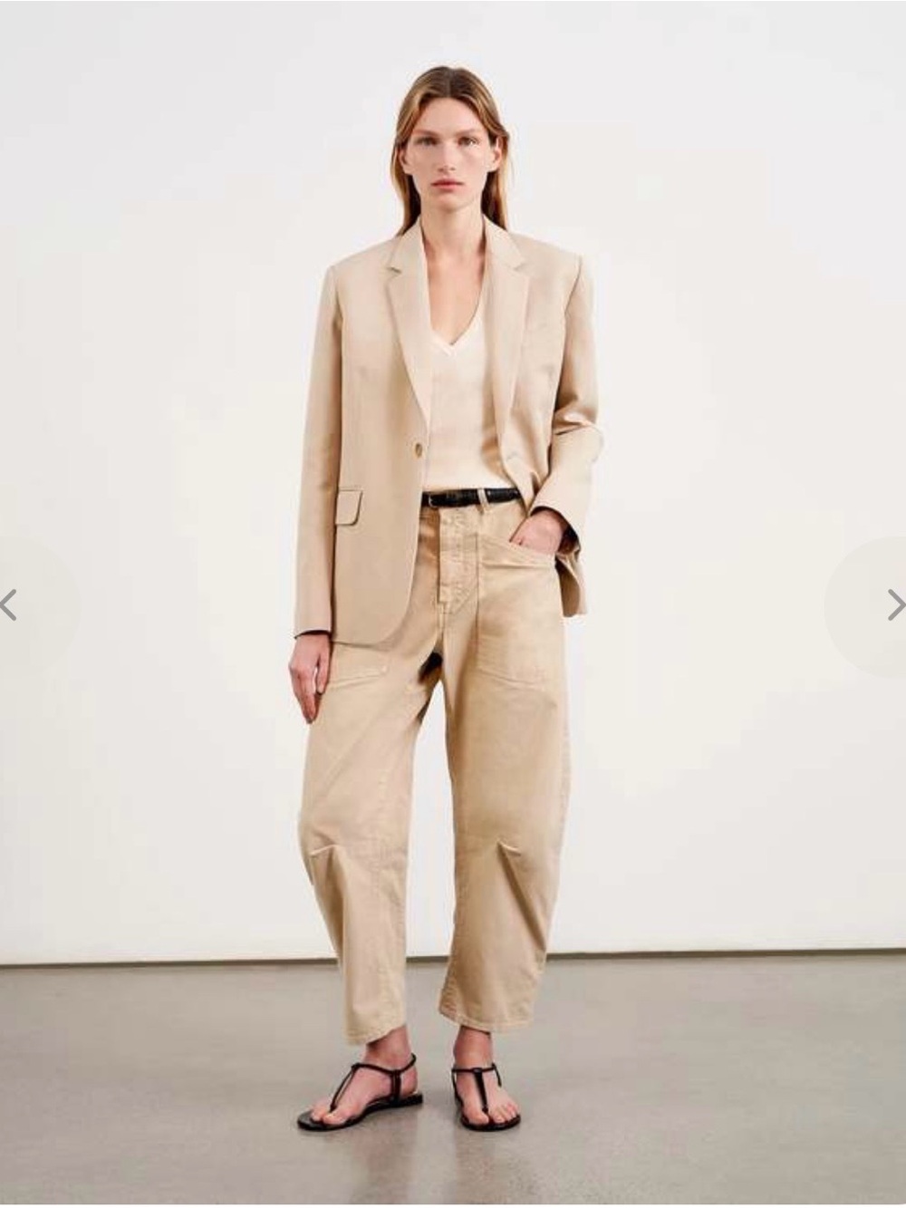 Nili Lotan Shon Relaxed Barrel-Leg Pant in Sandstone Size 0 - Picture 13 of 14